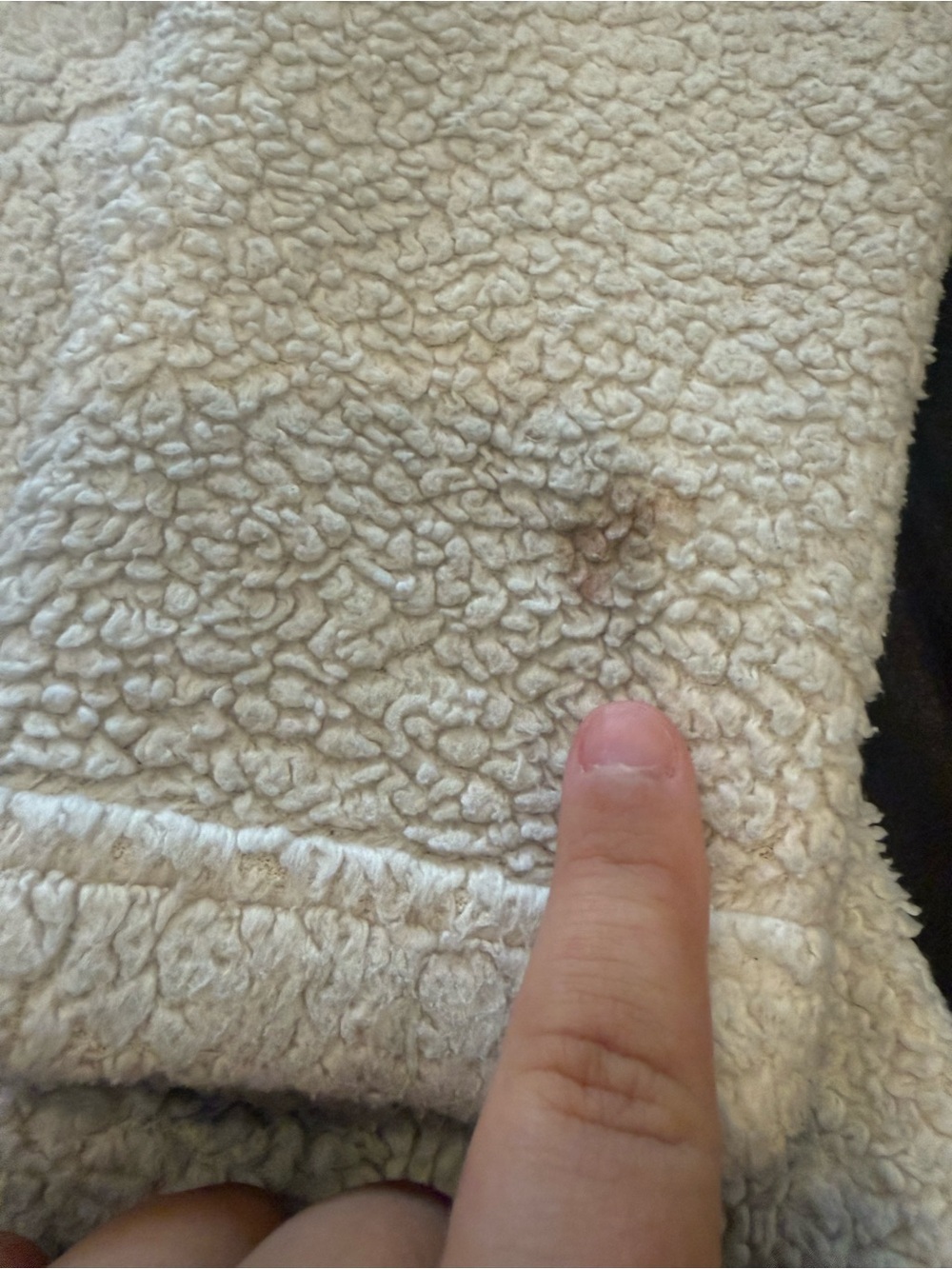 Patagonia Cream Sherpa Quarter-Zip Pullover has some stains - Picture 5 of 5